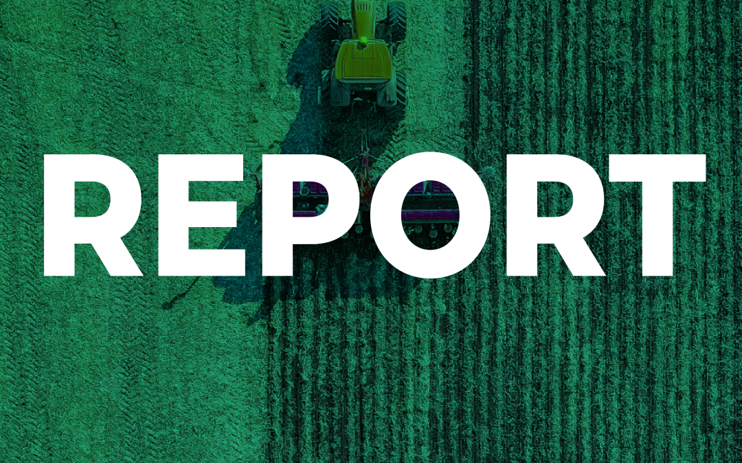 Report: what’s a Nitrate Vulnerability  Zone and what do you need to know about it?