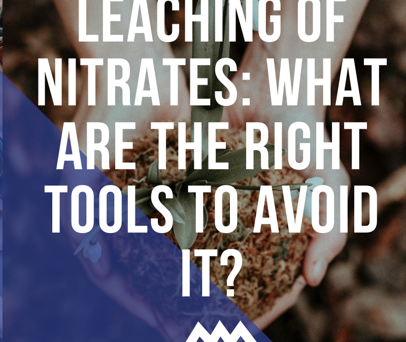 Leaching of nitrates: tools and strategy to avoid it