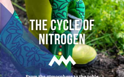 The cycle of nitrogen: from the atmosphere to the table